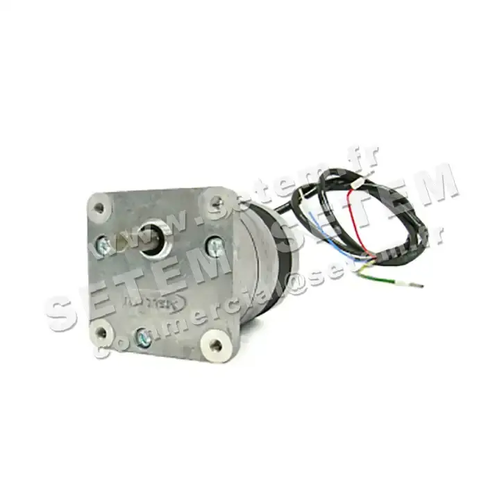 5781001374-MOTOREDUCTEUR SGM65/30.6.4A1 M230V ROTEK