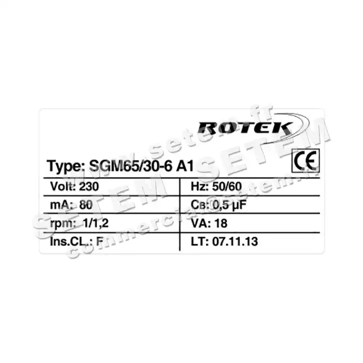 5781001374-MOTOREDUCTEUR SGM65/30.6.4A1 M230V ROTEK 2