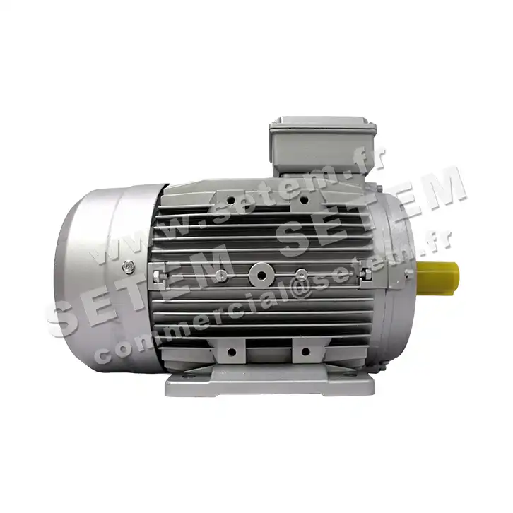6006000090-MOTEUR ALMO 3KW 2P T230/400V HA100 B3 MH2.100L2 2