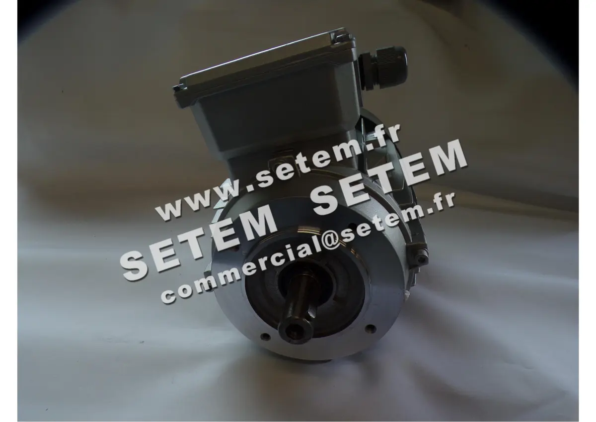 6006001062-MOTEUR ALMO 0.75KW 4P T230/400V HA80 B14 MH3-80G4 2