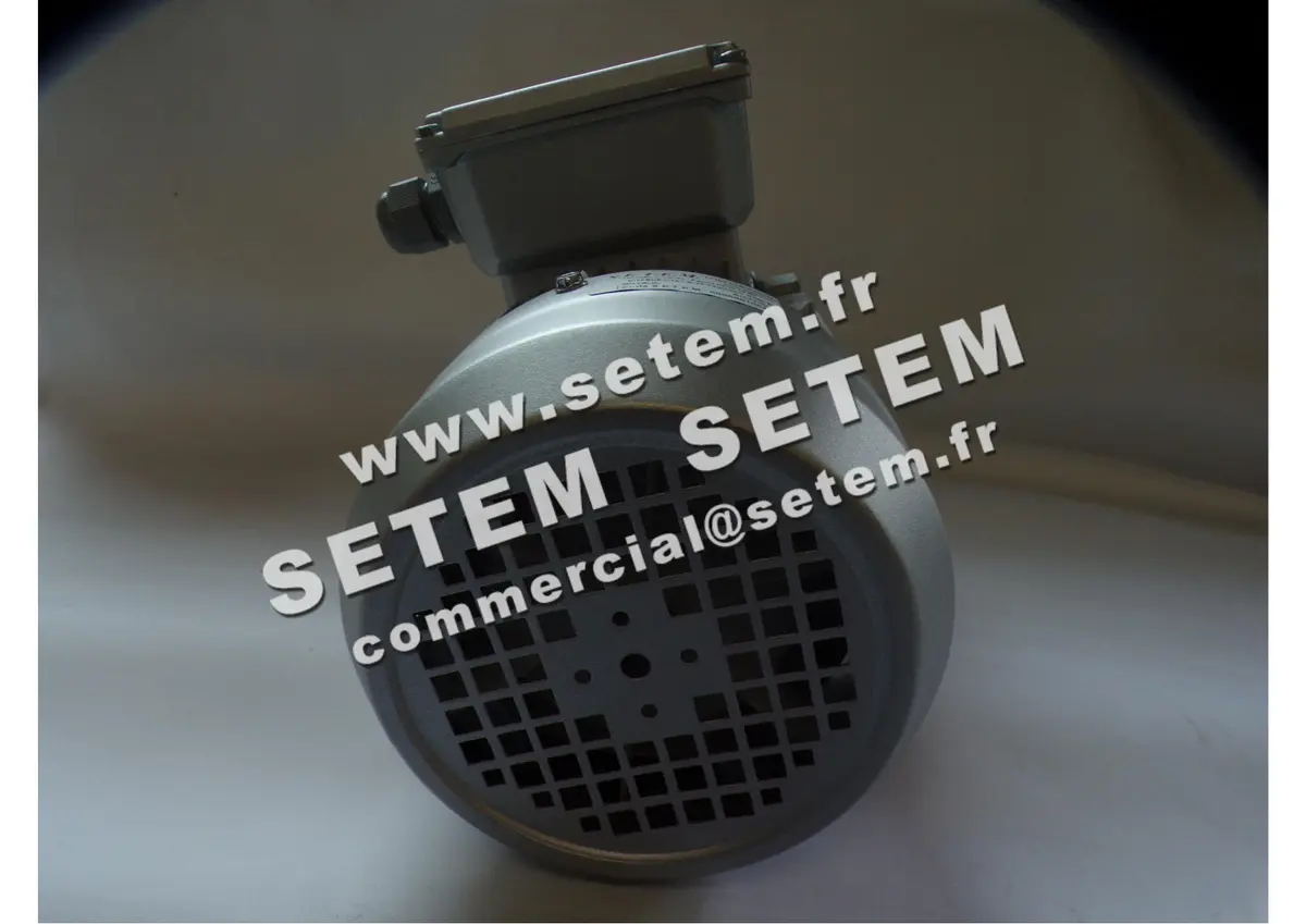 6006001062-MOTEUR ALMO 0.75KW 4P T230/400V HA80 B14 MH3-80G4 3