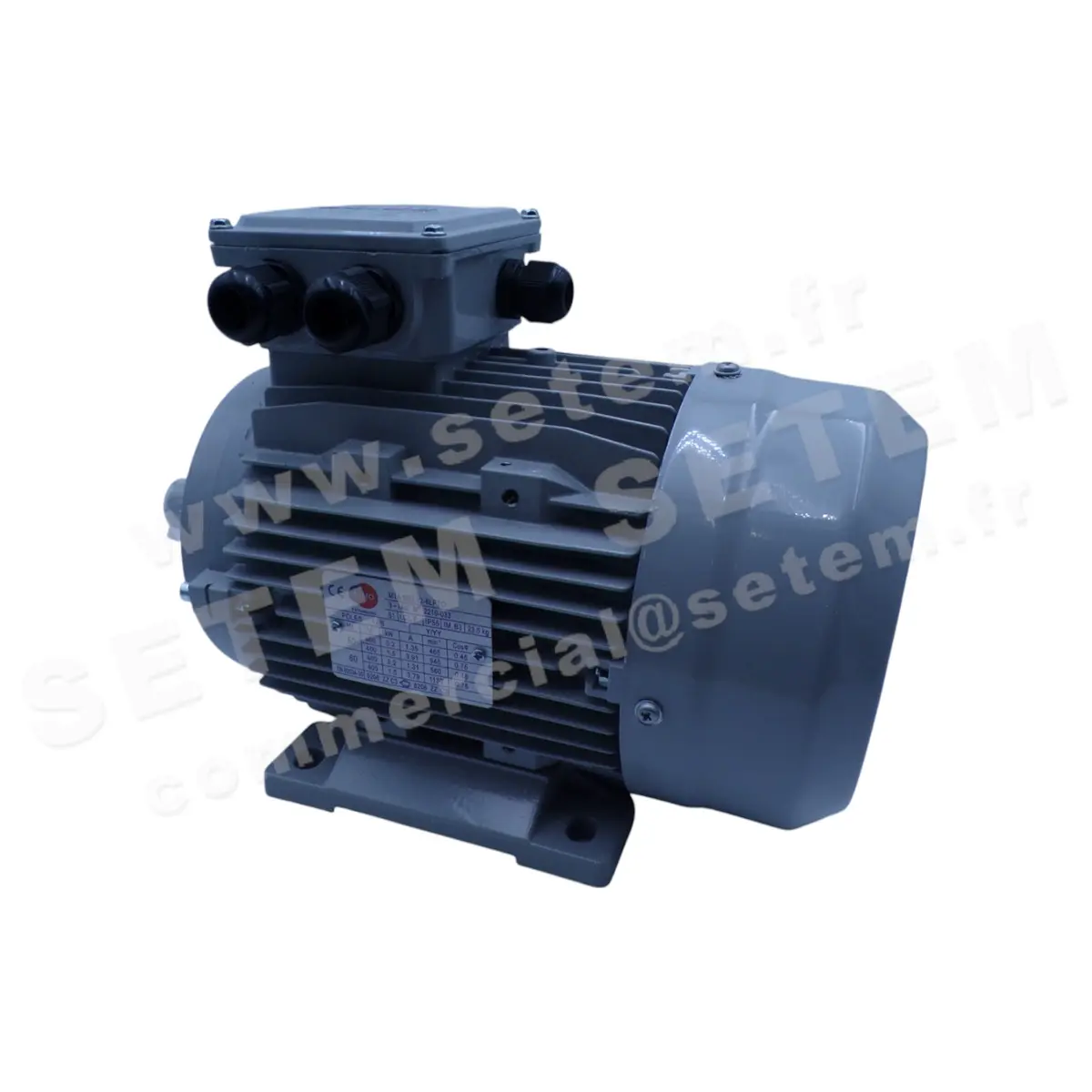6006004930-MOTEUR ALMO 1.50/0.20KW 6/12P T400V HA100 B3 MTA100L12-6LPTO