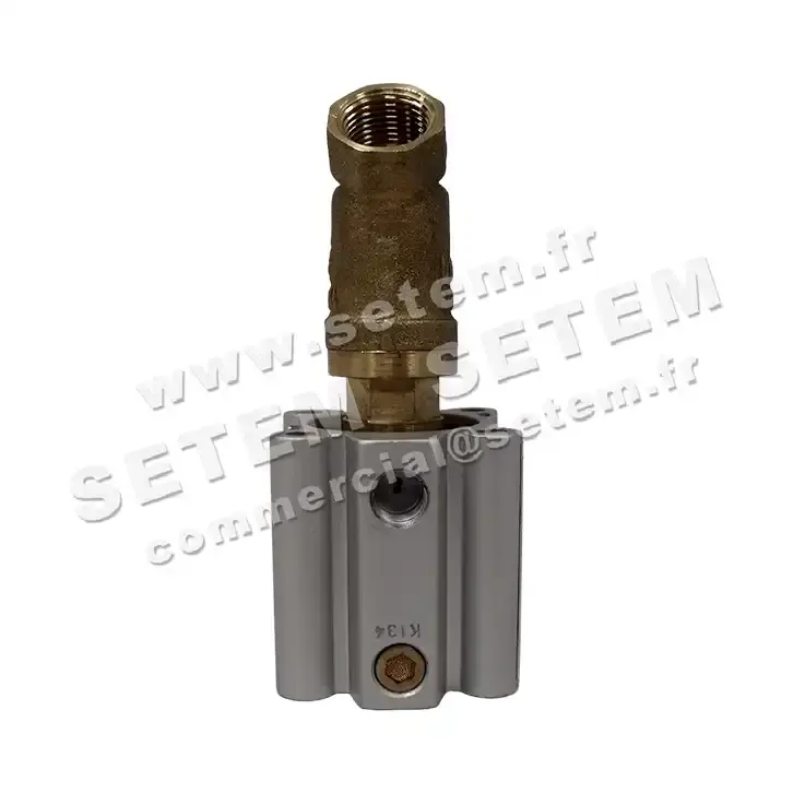 6032000001-ELECTROVANNE SETEM 532A3VN2010 2