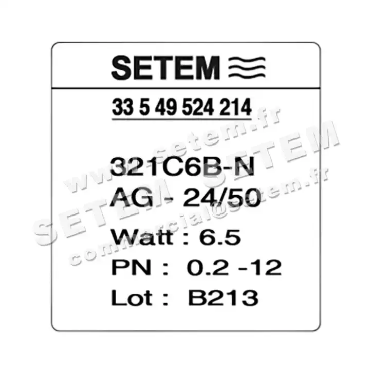 6032000003-ELECTROVANNE SETEM 321C6BNAG 5