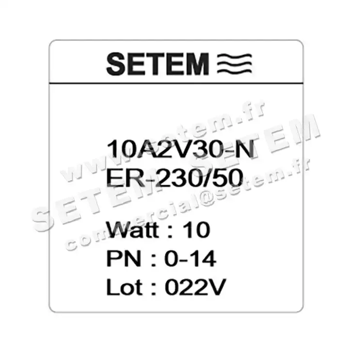 6032000010-ELECTROVANNE SETEM 10A2V30NER 4