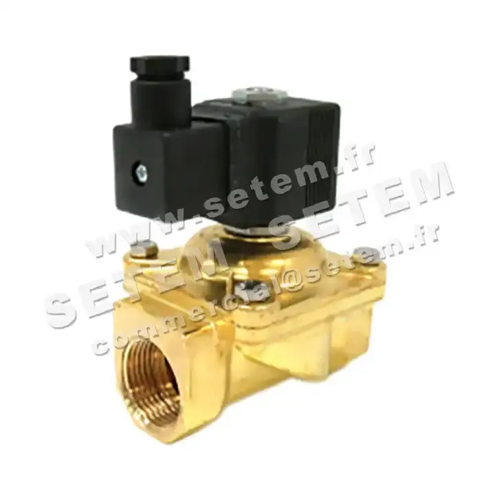 6032000087-ELECTROVANNE SETEM 275A6BNPN