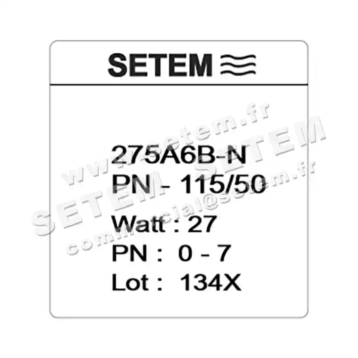 6032000087-ELECTROVANNE SETEM 275A6BNPN 4