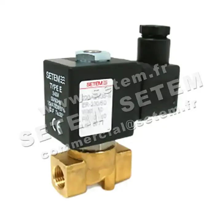 6032000130-ELECTROVANNE SETEM 220A2V35NER