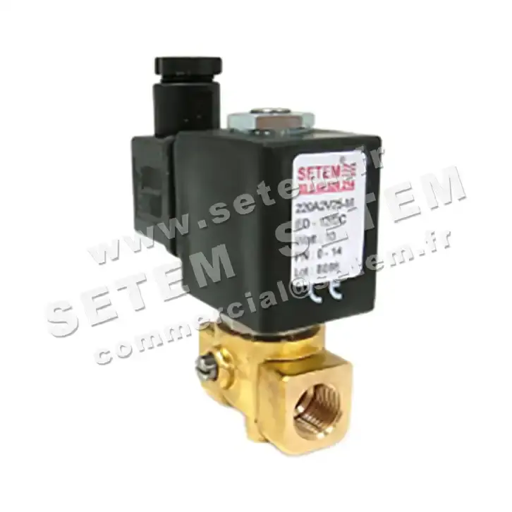 6032000143-ELECTROVANNE SETEM 220A2V25MED