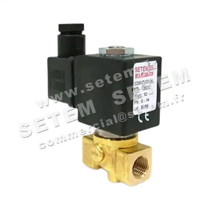 6032000144-ELECTROVANNE SETEM 220A2V25NED