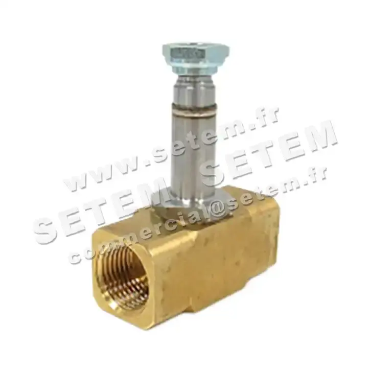 6032000154-CORPS DE VANNE 220A4E64N SETEM