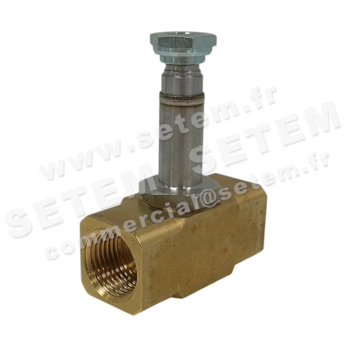 6032000154-CORPS DE VANNE 220A4E64N SETEM 5