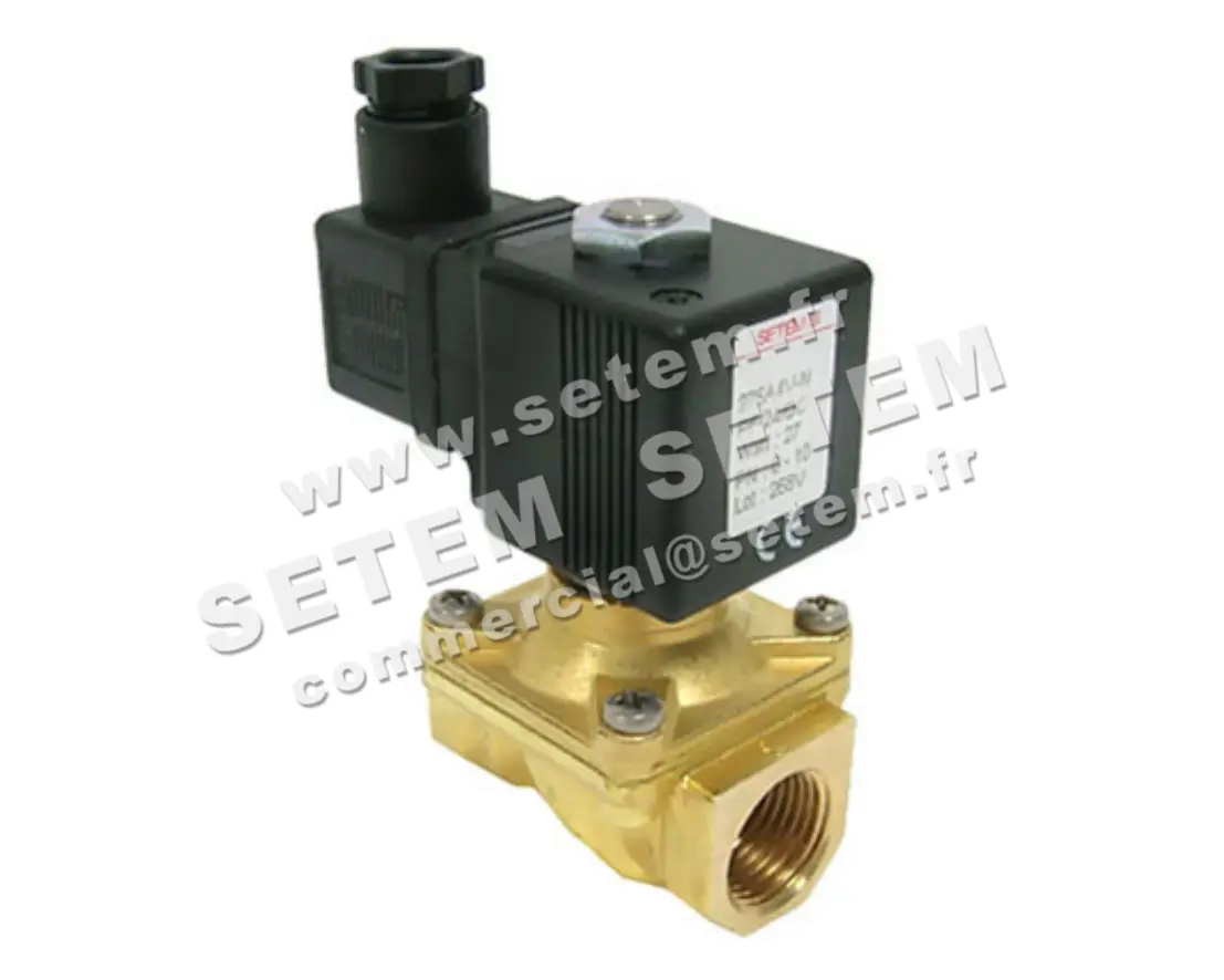 6032000250-ELECTROVANNE SETEM 275A4VNPF