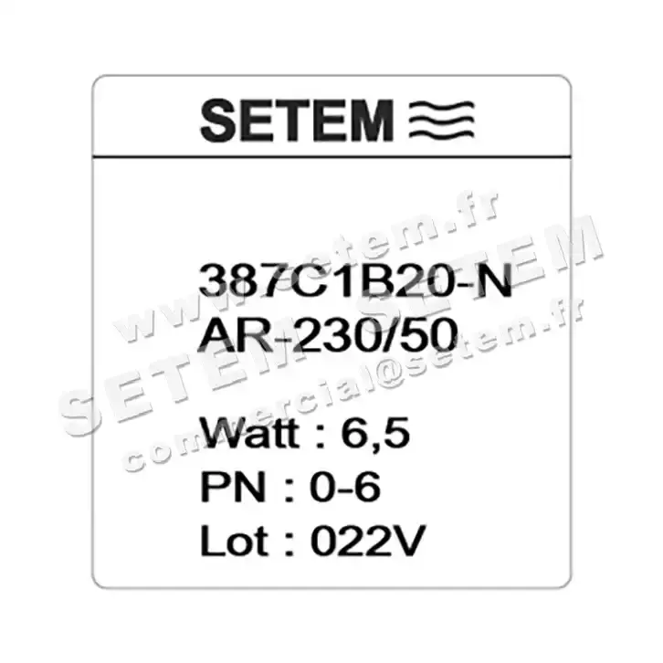 6032000387-ELECTROVANNE SETEM 387C1B20NAR 2