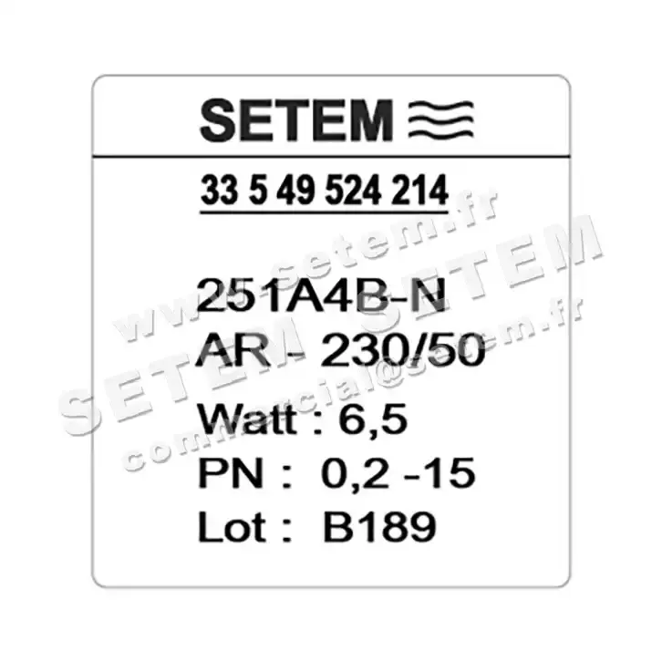 6032000620-ELECTROVANNE SETEM 251A4BNAR 2