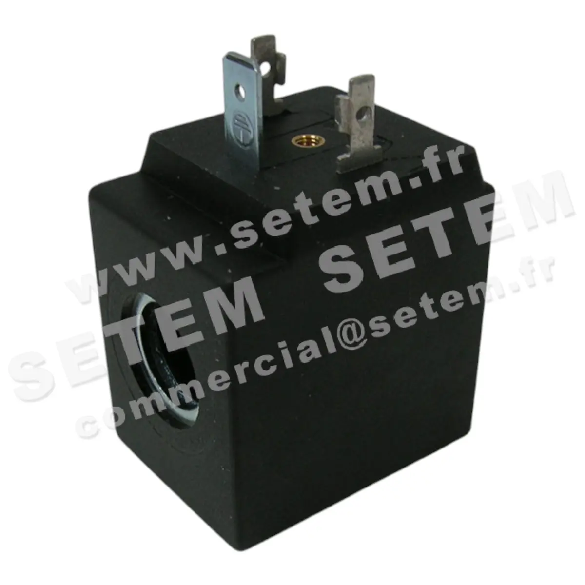 6032000810-BOBINE SETEM RHL48.50