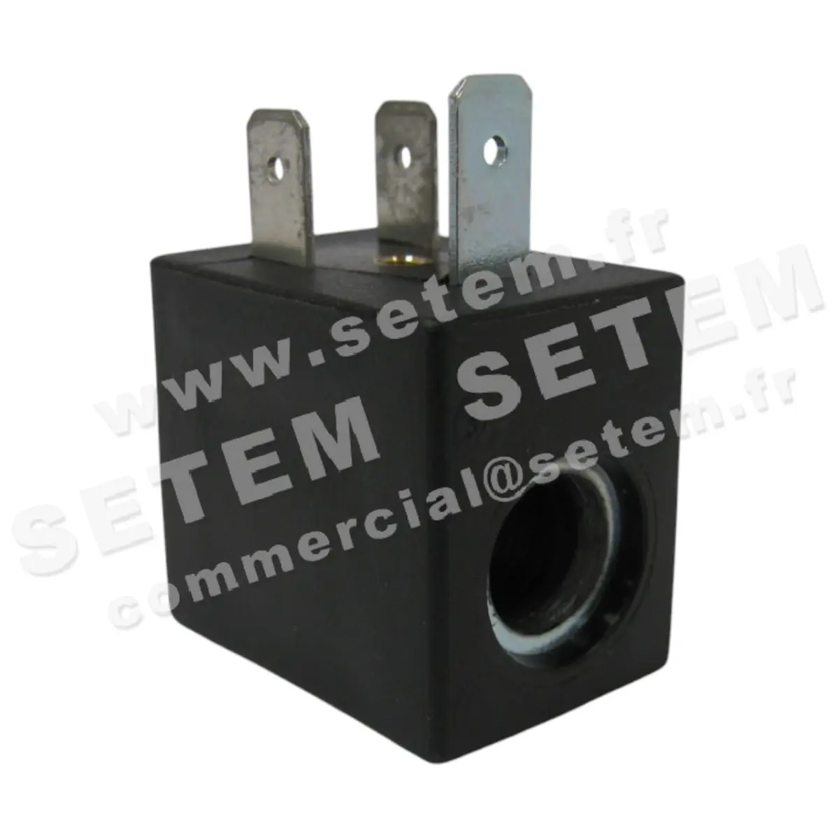 6032000819-BOBINE SETEM A 8VA 24VAC