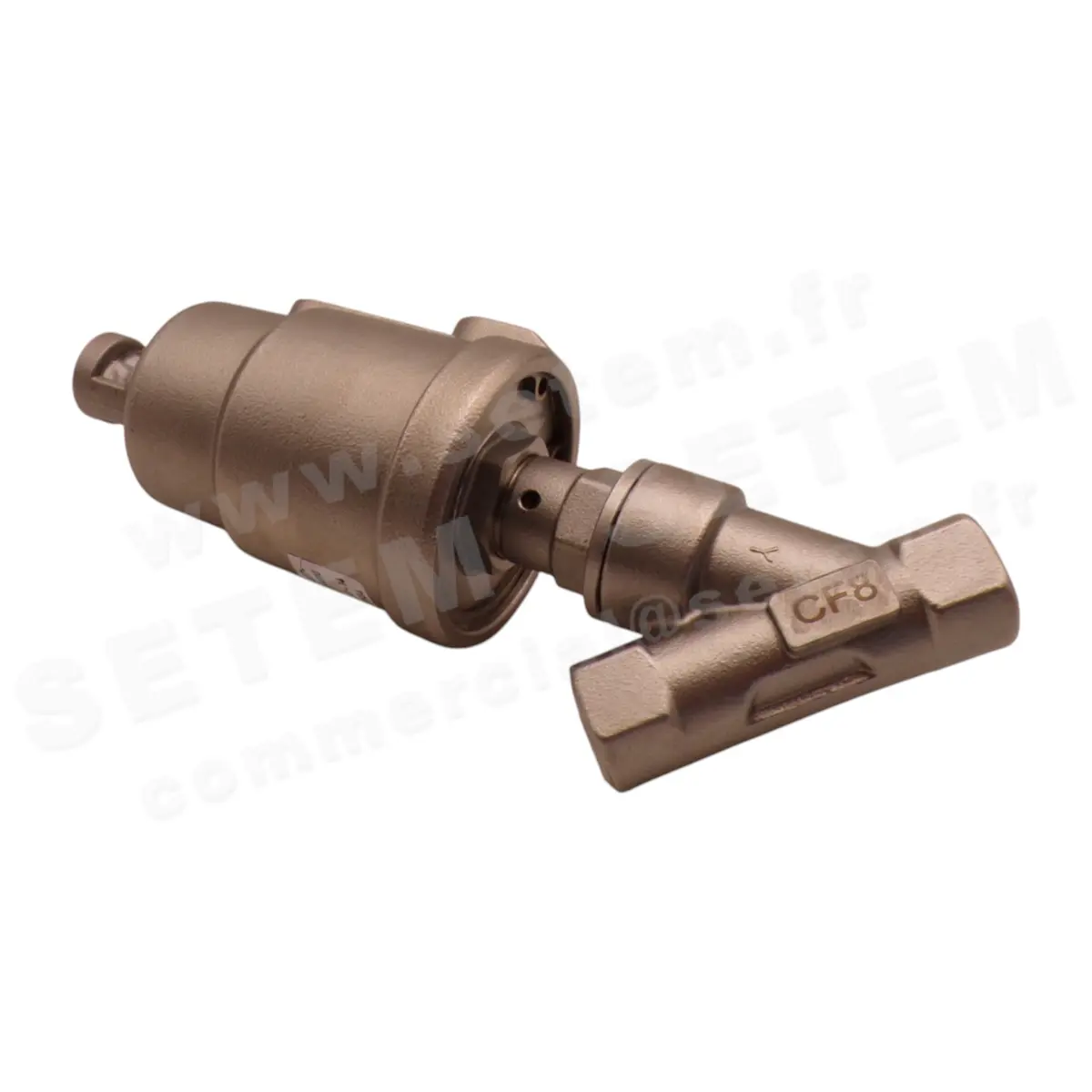 6032005219-VANNE PNEUMATIQUE SETEM 516A3T-P4110