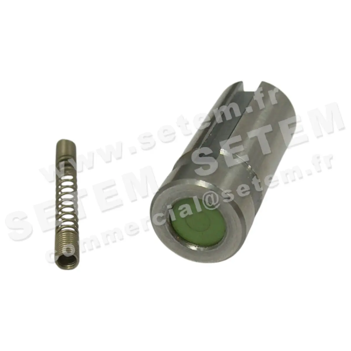 6032009070-KIT RESSORT PLONGEUR SUR 253A6VNCF SETEM