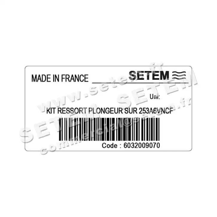 6032009070-KIT RESSORT PLONGEUR SUR 253A6VNCF SETEM 3