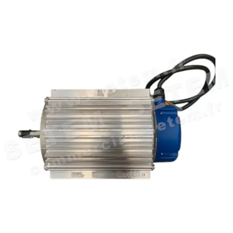 6194001008-MOTEUR S&P CBM100 SP T8 1.5CV 2