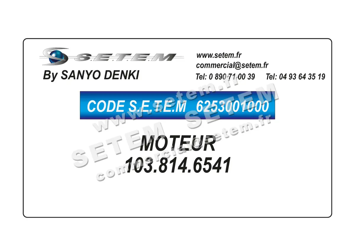 6253001000-MOTEUR SANYODENKI 103.814.6541