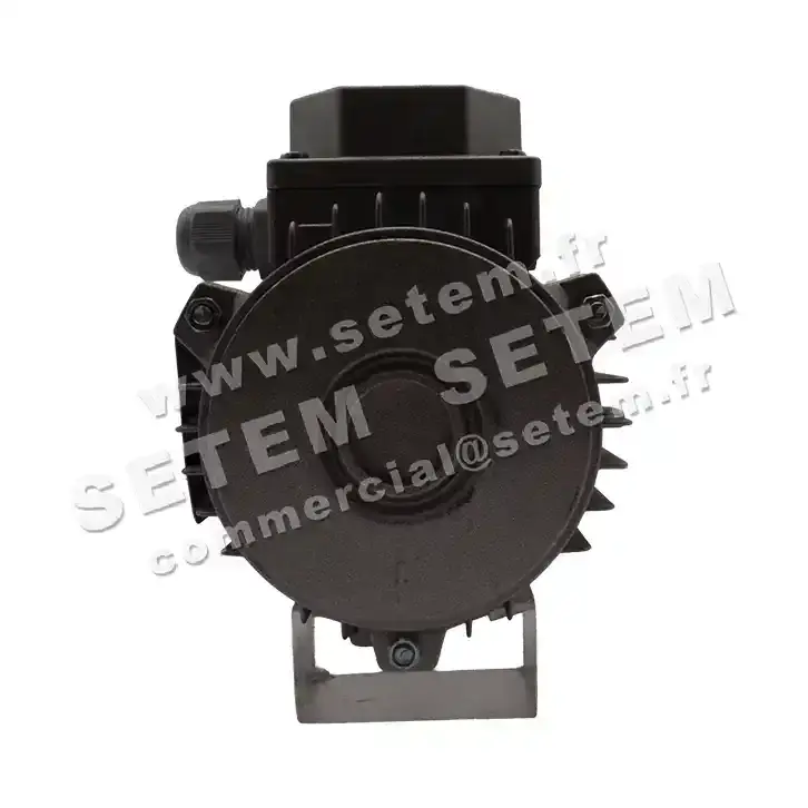 6915109678-MOTEUR VORTICE H63B/4-(TENV) *1.469.000.009* 2