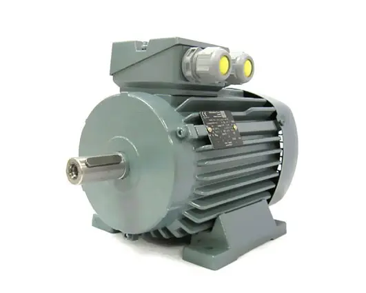 6961004410-MOTEUR VEM 2/0.50KW 2/4P T400V HA90 B3 K21R90L4.2 LPTO