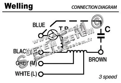 7239000050-MOTEUR WELLING RPS5S.1 "261486" 4